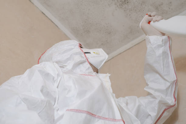 Best Industrial Mold Remediation  in Manhattan, KS